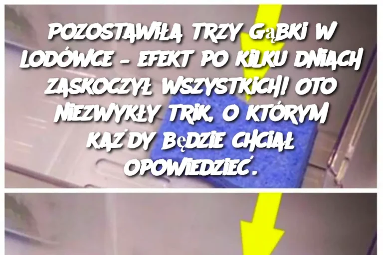 Pozostawiła trzy gąbki w lodówce – efekt po kilku dniach zaskoczył wszystkich! Oto niezwykły trik, o którym każdy będzie chciał opowiedzieć.