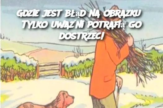 Gdzie jest błąd na obrazku? Tylko uważni potrafią go dostrzec!