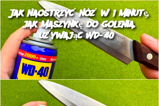 Jak naostrzyć nóż w 1 minutę, jak maszynkę do golenia, używając WD-40?