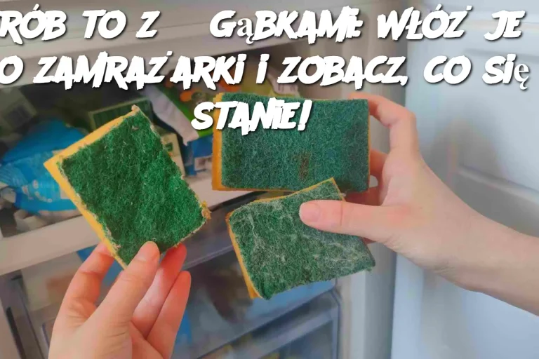 Zrób to z 3 gąbkami: Włóż je do zamrażarki i zobacz, co się stanie!