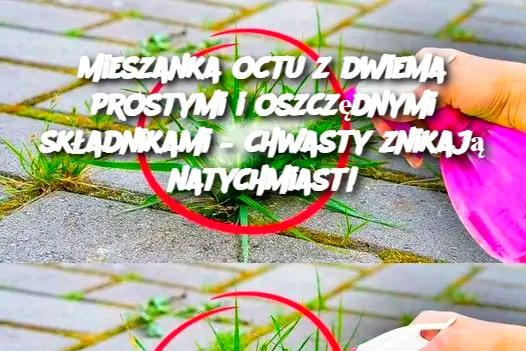 Mieszanka octu z dwiema prostymi i oszczędnymi składnikami – chwasty znikają natychmiast!