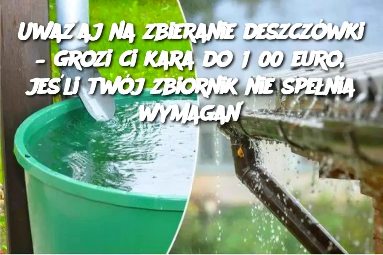 Uważaj na zbieranie deszczówki – grozi ci kara do 1500 euro, jeśli twój zbiornik nie spełnia wymagań