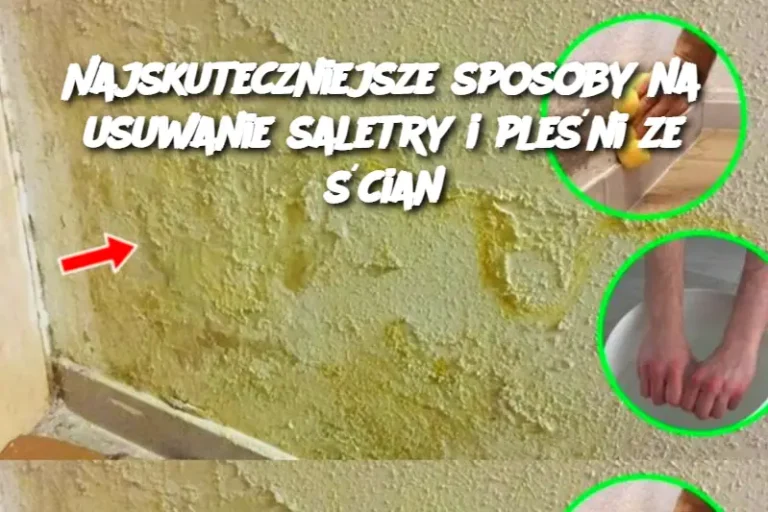 Najskuteczniejsze sposoby na usuwanie saletry i pleśni ze ścian