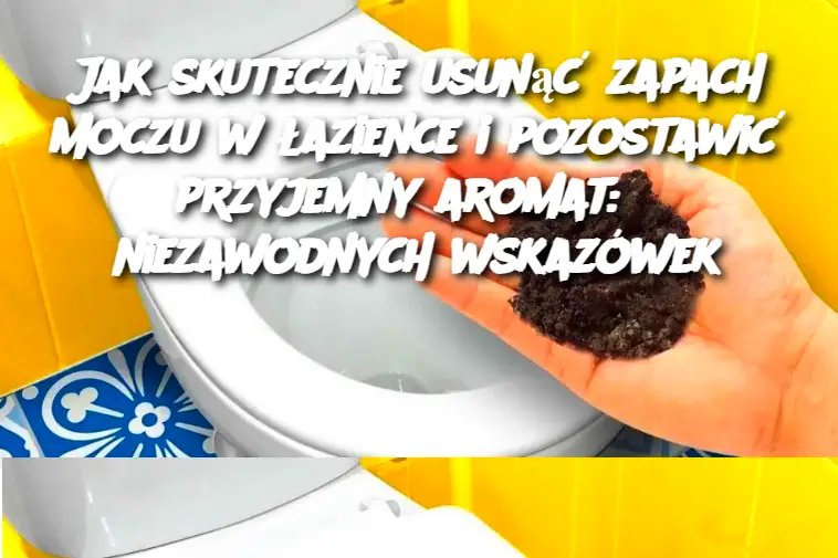 Jak skutecznie usunąć zapach moczu w łazience i pozostawić przyjemny aromat: 6 niezawodnych wskazówek