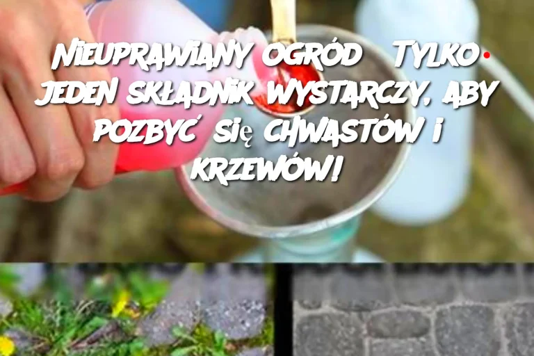 Nieuprawiany ogród? Tylko jeden składnik wystarczy, aby pozbyć się chwastów i krzewów!