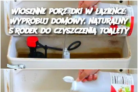 Wiosenne porządki w łazience: Wypróbuj domowy, naturalny środek do czyszczenia toalety