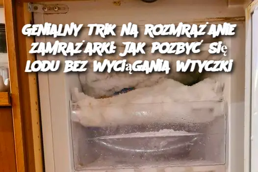 Genialny trik na rozmrażanie zamrażarki: Jak pozbyć się lodu bez wyciągania wtyczki