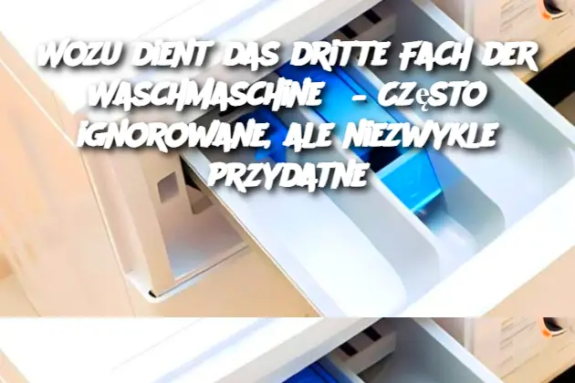 Wozu dient das dritte Fach der Waschmaschine? – Często ignorowane, ale niezwykle przydatne