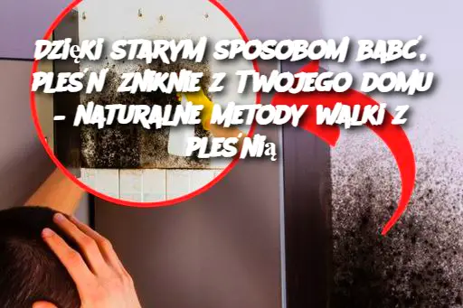 Dzięki starym sposobom babć, pleśń zniknie z Twojego domu – naturalne metody walki z pleśnią