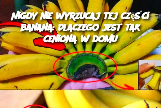 Nigdy nie wyrzucaj tej części banana: Dlaczego jest tak ceniona w domu