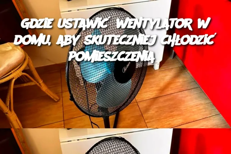 Gdzie ustawić wentylator w domu, aby skuteczniej chłodzić pomieszczenia?