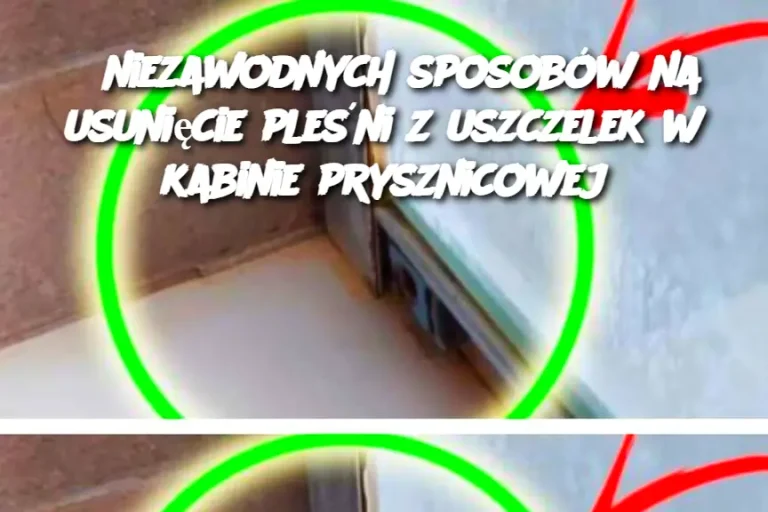 5 niezawodnych sposobów na usunięcie pleśni z uszczelek w kabinie prysznicowej