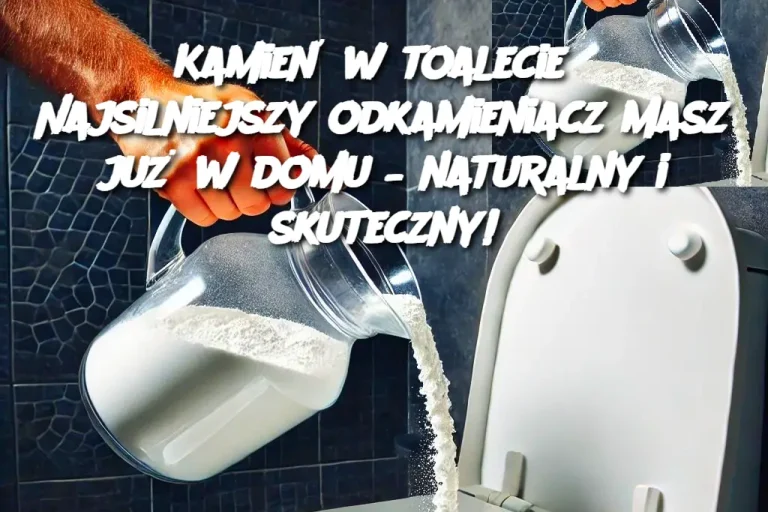 Kamień w toalecie? Najsilniejszy odkamieniacz masz już w domu – naturalny i skuteczny!