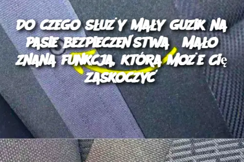 Do czego służy mały guzik na pasie bezpieczeństwa? Mało znana funkcja, która może Cię zaskoczyć