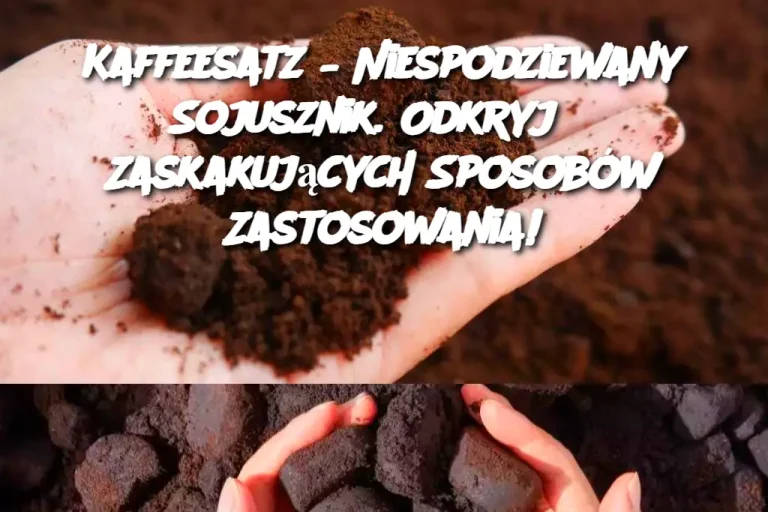 Kaffeesatz – Niespodziewany Sojusznik. Odkryj 8 Zaskakujących Sposobów Zastosowania!