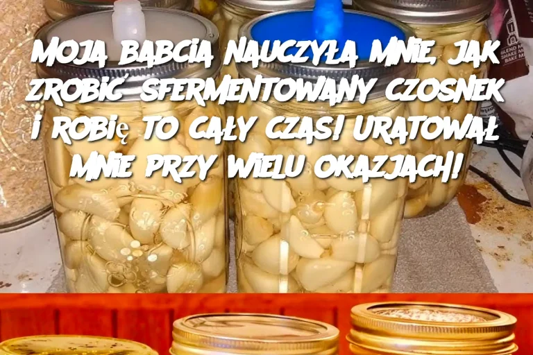 Moja babcia nauczyła mnie, jak zrobić sfermentowany czosnek i robię to cały czas! Uratował mnie przy wielu okazjach!