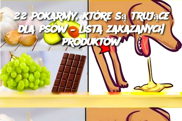 22 Pokarmy, które są trujące dla psów – lista zakazanych produktów