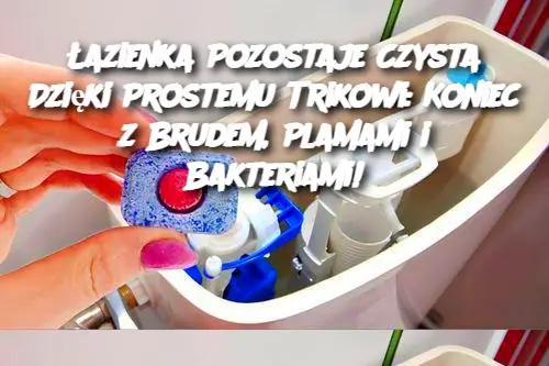 Łazienka Pozostaje Czysta Dzięki Prostemu Trikowi: Koniec z Brudem, Plamami i Bakteriami!