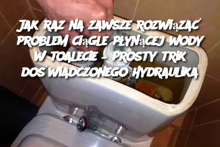 Jak raz na zawsze rozwiązać problem ciągle płynącej wody w toalecie – prosty trik doświadczonego hydraulika