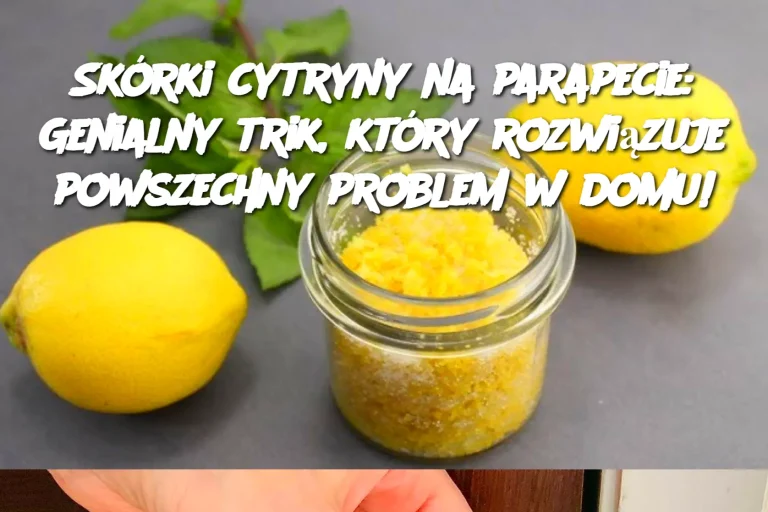 Skórki cytryny na parapecie: Genialny trik, który rozwiązuje powszechny problem w domu!