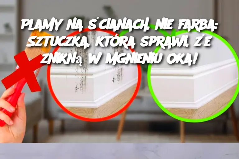 Plamy na ścianach, nie farba: Sztuczka, która sprawi, że znikną w mgnieniu oka!