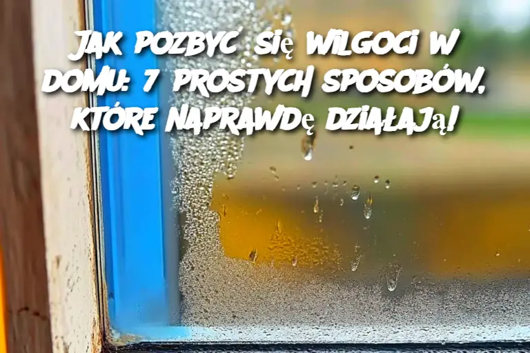 Jak pozbyć się wilgoci w domu: 7 prostych sposobów, które naprawdę działają!