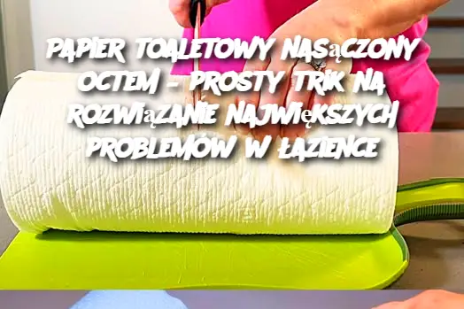 Papier toaletowy nasączony octem – prosty trik na rozwiązanie największych problemów w łazience