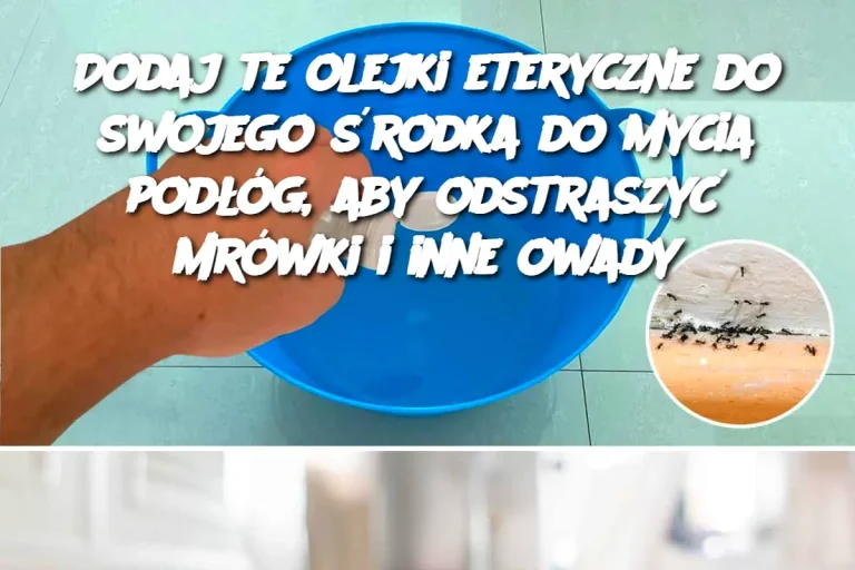 Dodaj te olejki eteryczne do swojego środka do mycia podłóg, aby odstraszyć mrówki i inne owady