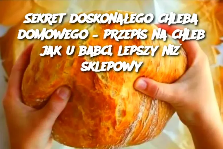 Sekret doskonałego chleba domowego – przepis na chleb jak u babci, lepszy niż sklepowy