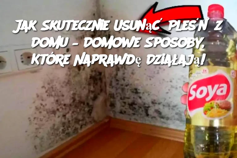 Jak Skutecznie Usunąć Pleśń z Domu – Domowe Sposoby, Które Naprawdę Działają!