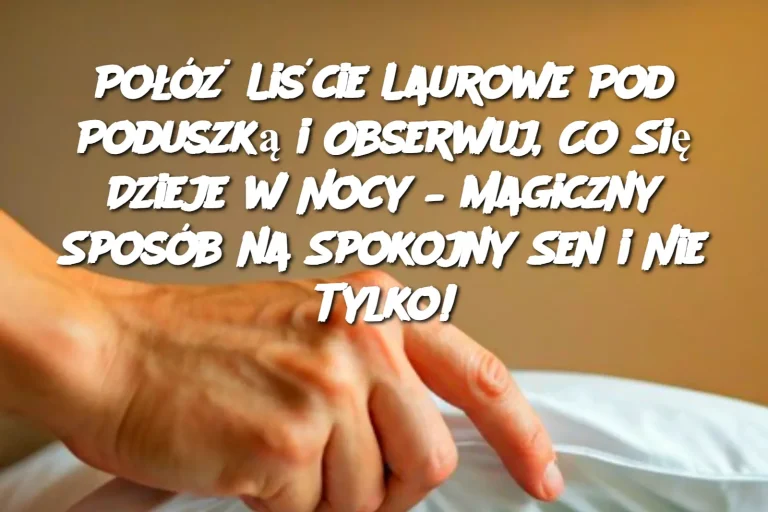 Połóż Liście Laurowe Pod Poduszką i Obserwuj, Co Się Dzieje w Nocy – Magiczny Sposób na Spokojny Sen i Nie Tylko!