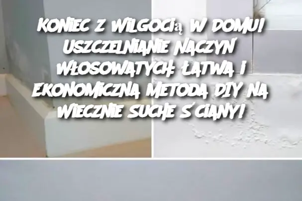 Koniec z Wilgocią w Domu! Uszczelnianie Naczyń Włosowatych: Łatwa i Ekonomiczna Metoda DIY na Wiecznie Suche Ściany!