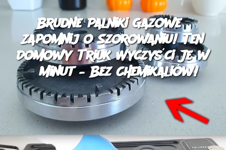 Brudne Palniki Gazowe?  Zapomnij o Szorowaniu!  Ten Domowy Triuk Wyczyści Je w 5 Minut – Bez Chemikaliów!