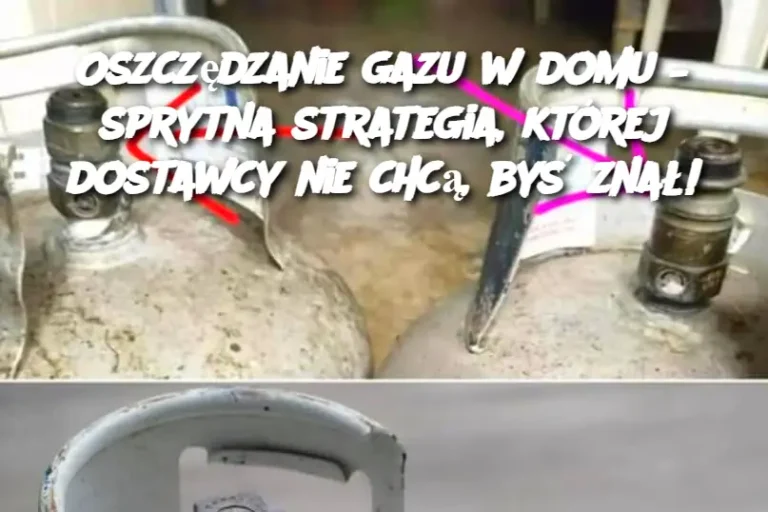 Oszczędzanie gazu w domu – sprytna strategia, której dostawcy nie chcą, byś znał!