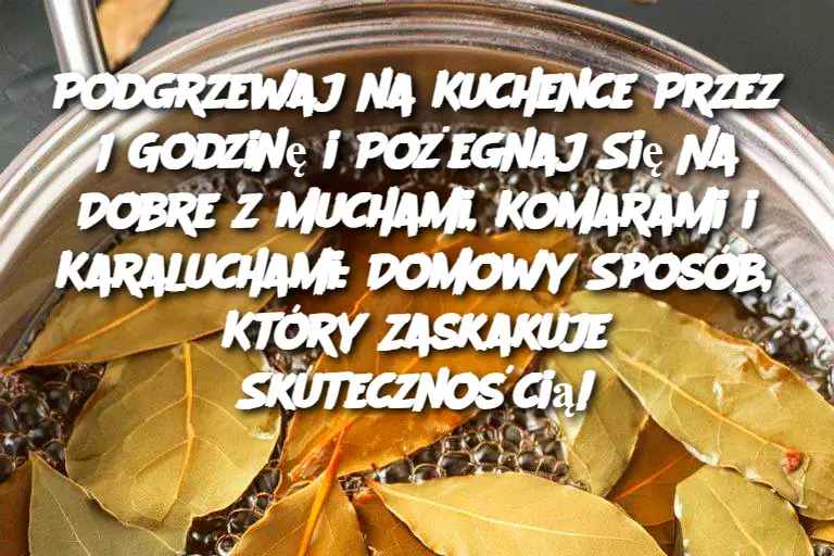 Podgrzewaj na Kuchence Przez 1 Godzinę i Pożegnaj Się Na Dobre z Muchami, Komarami i Karaluchami: Domowy Sposób, Który Zaskakuje Skutecznością!