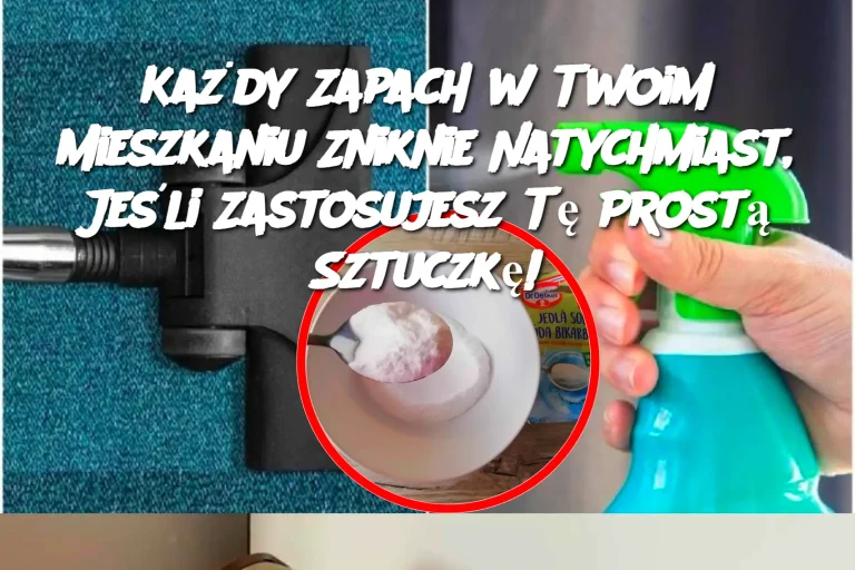 Każdy Zapach w Twoim Mieszkaniu Zniknie Natychmiast, Jeśli Zastosujesz Tę Prostą Sztuczkę!