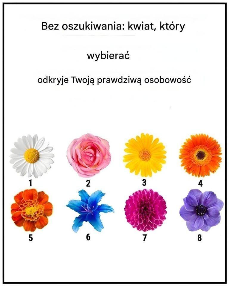 Żadnych plotek. Kwiat, który wybierzesz, ujawni Twoją prawdziwą cechę charakteru