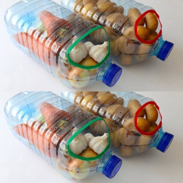 “Sprytne i Ekologiczne Wykorzystanie Plastikowych Butelek w Kuchni”