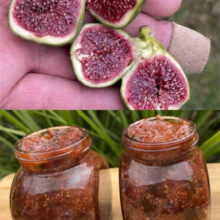 Domowy dżem z fig: Naturalna słodycz zamknięta w słoiku