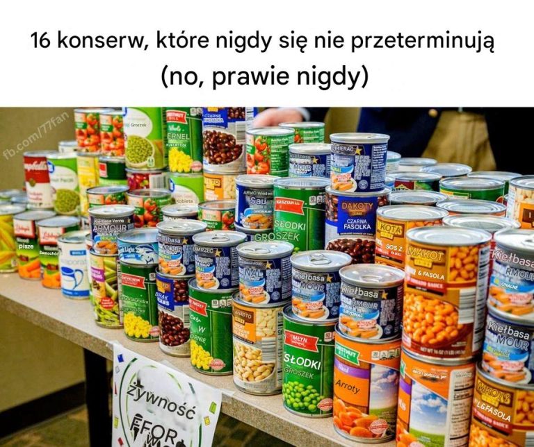 Żywność Wieczna? 16 Konserw, Które Przetrwają Lata Bez Utraty Jakości