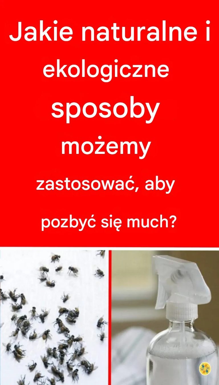 Niezniszczalny środek odstraszający muchy zawierający tylko 3 naturalne substancje
