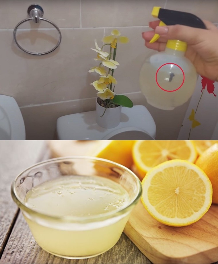 „Domowy spray eliminujący zapach moczu – skuteczna i prosta receptura”