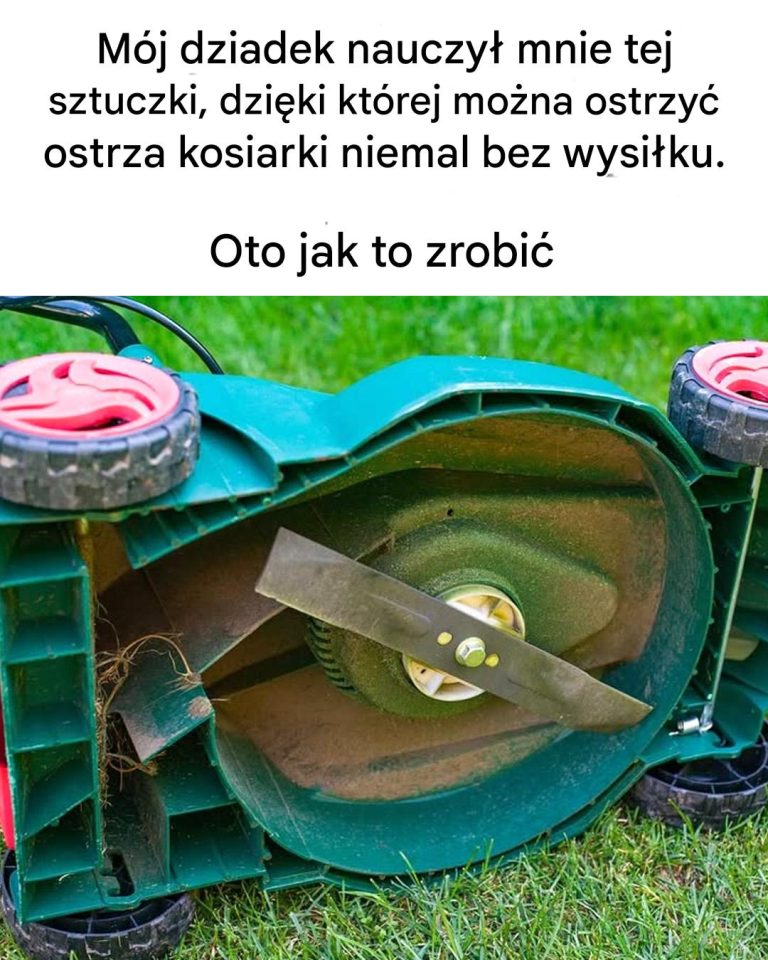 Jak ostrzyć ostrza kosiarki?