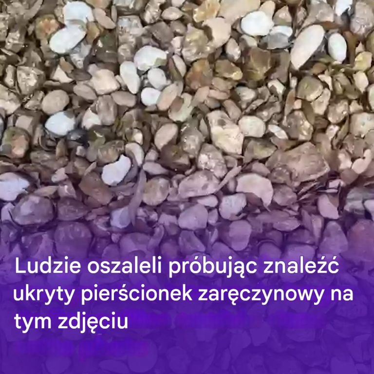 Ludzie tracą rozum, próbując znaleźć obrączkę ślubną na zdjęciu, które stało się viralem