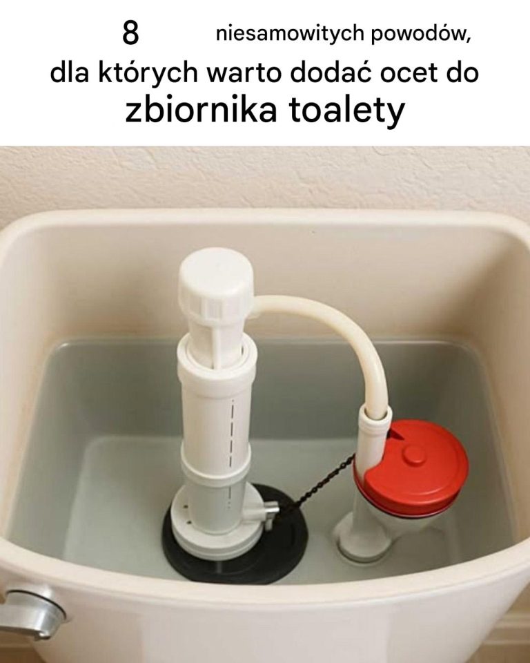 8 powodów, dla których dodanie octu do zbiornika toalety to sztuczka, której koniecznie musisz spróbować