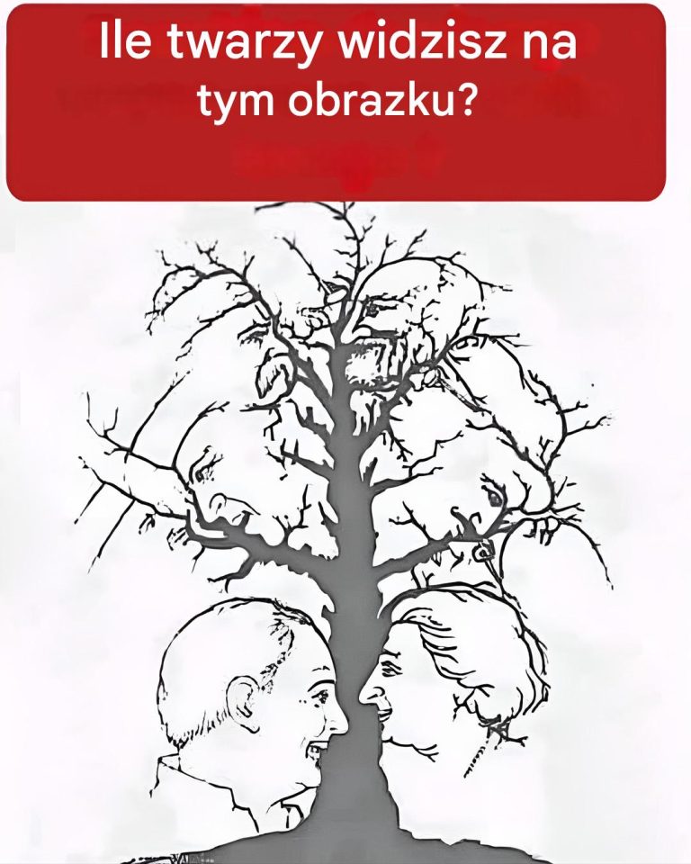 Złudzenie optyczne: ile twarzy widzisz na tym rysunku?