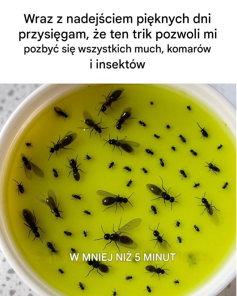 Ocet jabłkowy jako sposób na pozbycie się niechcianych szkodników