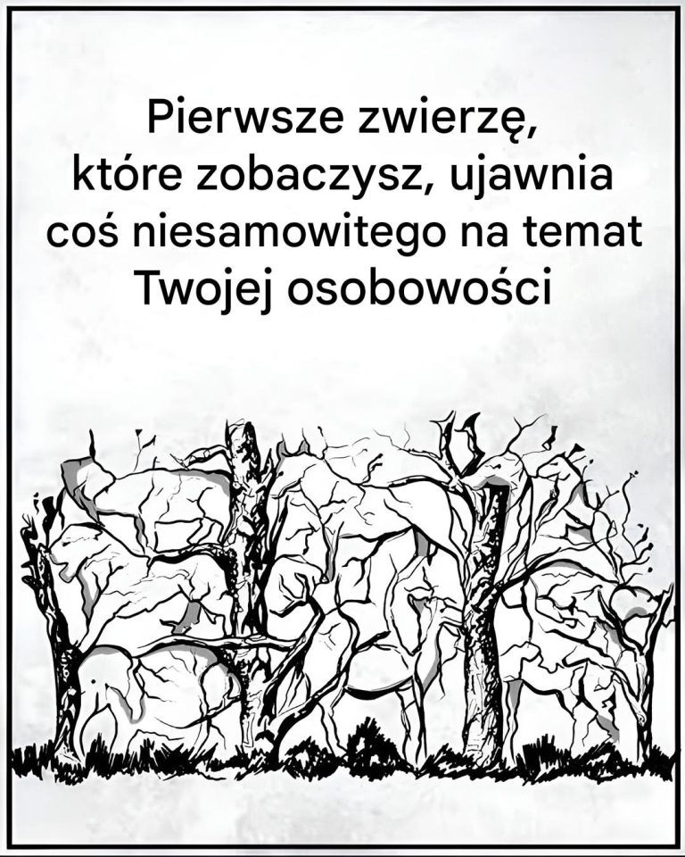 Pierwsze zwierzę, które zobaczysz, ujawni pewne informacje na temat Twojej osobowości