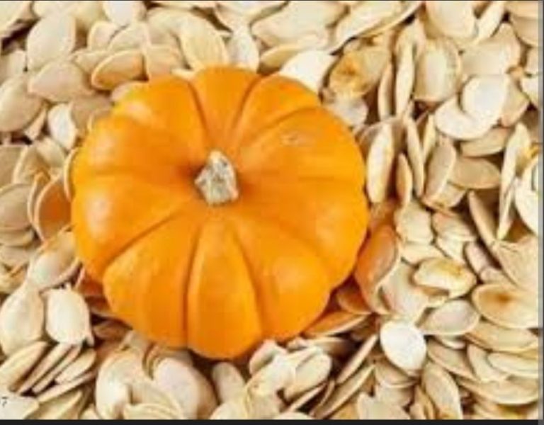 HOW PUMPKIN SEEDS HELP CONTROL DIABETES (DIY)