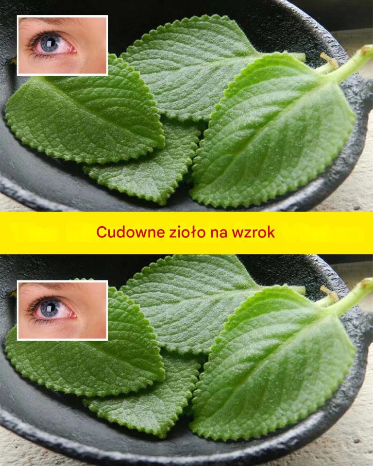 Cudowne zioło na wzrok: naturalne rozwiązanie na zaćmę i zdrowie oczu